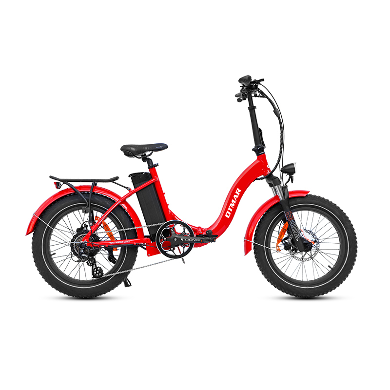 The embryonic development process of bicycles